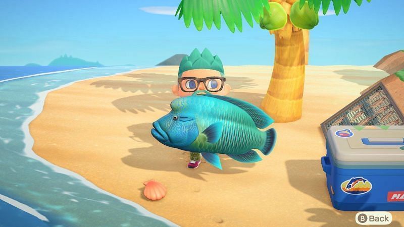 รายชื่อปลาทั้งหมดที่จะเข้าและออกในเดือนกันยายนสำหรับ Animal Crossing: New Horizons