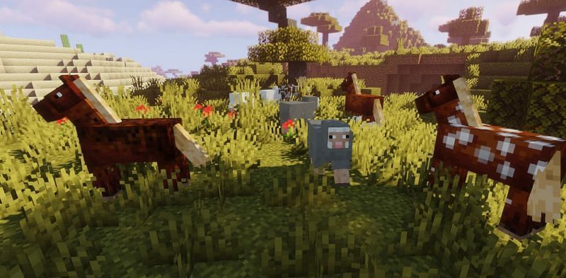 5 stvari koje igrači nisu znali o konjima u Minecraftu
