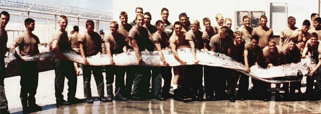 Se den gigantiske oarfisken: Dette serpentinske 'sjømonsteret' kan ha inspirert eldgamle folklore
