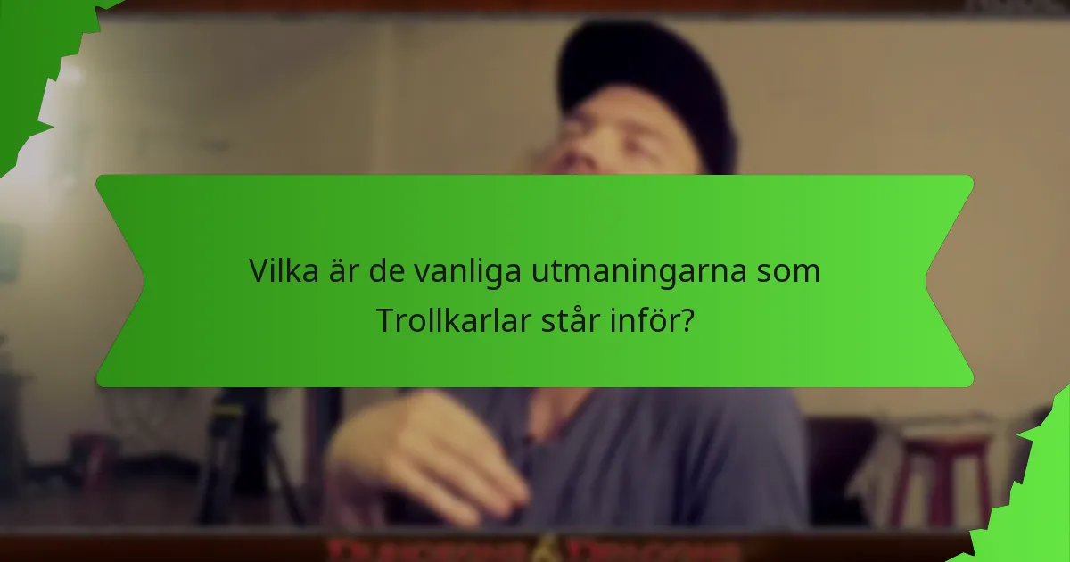Vilka är de vanliga utmaningarna som Trollkarlar står inför?